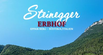 Gasthof Hotel Steinegger