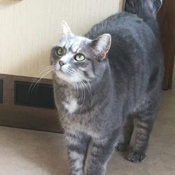 Muini hat ein Zuhause gefunden. . aus der Pflegestelle vom Tierschutzverein Südtiroler Tierparadies hilft